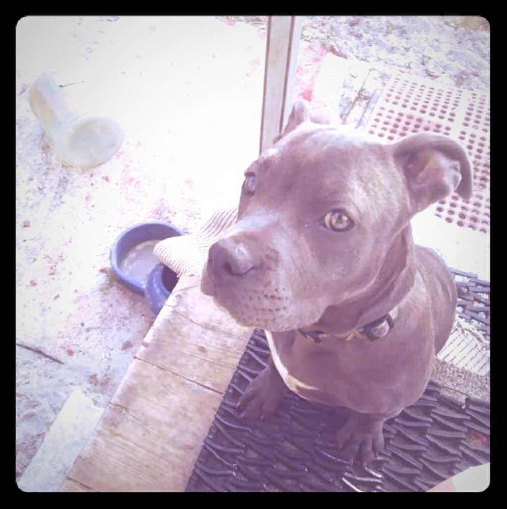 Meet your Posher, Teresa